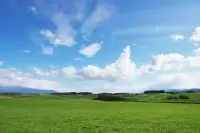 天氣：陰     心情：晴朗
又是努力生活的一天，每天都要開開心心的呀配圖