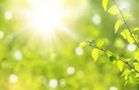 要散布阳光到别人心里，先得自己心里有阳光。——罗曼·罗兰配图