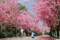 邂逅春日，与美好撞个满怀我已经准备好和春天来一场浪漫约会啦，你们呢？配图