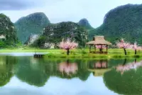 邂逅春日，与美好撞个满怀我已经准备好和春天来一场浪漫约会啦，你们呢？配图
