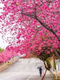 邂逅春日，与美好撞个满怀我已经准备好和春天来一场浪漫约会啦，你们呢？配图