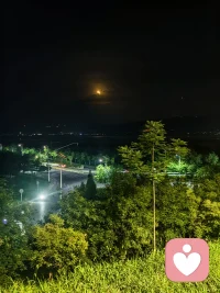 最近有些懈怠了，今晚開始要努力起來↖(^ω^)↗配圖