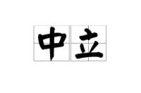 你可以共情，但不被卷进去；你可以理解，但不急着站队；你有温度，但不抢来访者的答案；你能陪他看清楚水流，有时甚至一起跳进去一起漂流，但你始终有一个思考的缝隙或空间回到来访者那。
真正的中立，有一种你能感觉到的存在感。
它可能只是一句很轻的话，也可能只是一个眼神、一个停顿、一次跟随，但它让你知道：“我没有被否定，也没有被拉走，我在这里，有人在和我一起，陪着我理解，看见我自己。”
作为咨询师，很重要的是，能够尽可能的扩大自己的心理容器的空间，体会和感受来访者。所以咨询师本人要去做个人分析的原因之一，扩大自己的边界。

一旦来访者那些看不清、道不明的东西终于有一个空间可以装载，感受被看见被承认，转化就有可能发生。