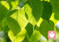 1.怎么做会让自己好一点？
2.过去什么时候你感觉最好、压力比较小？那时你做了什么不同的事情？
3.明天可以尝试做哪些改变来缓解压力？
4.今天提到的这几个点，你觉得哪一个最容易先尝试？配图