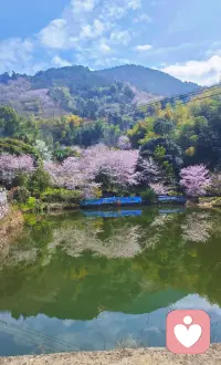 沈健的金句:关你屁事，关我屁事！
很接地气的人生哲理。配图