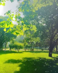 真正被爱的感觉，是他从不试图改造你。——荣格