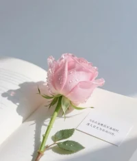 痛苦来自于对当下的批判，
不能心平气和的接受当下，
便是制造痛苦的根源。
—《当下的力量》