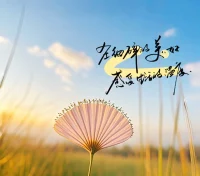 向外看，在夢中。
向內看，在覺醒。
你是哪一種？配圖
