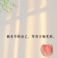 傾訴本身就能釋放壓力，不必急于尋找答案。配圖