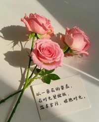 有问题，不是错乱，而是节奏。