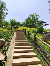 山川不語
卻藏進歲月的深情與厚重配圖