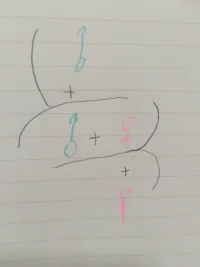 性倒錯，是，性沖動正常發展 受到阻礙 的 結果配圖