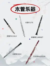 愛音樂的孩子，懂生活，給他選一個他喜歡的樂器吧配圖