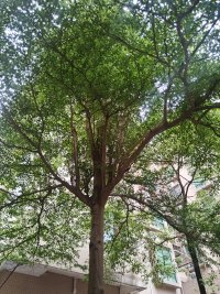 婴儿来到这个世界上的第1个感觉可能是不信任，不安全

仿佛自己可能活不下来，会特别的惊恐。

从这个意义上来说，性恶论中所讲的恶可能并不意味着他是一个坏孩子，

他也可能只是一个极度惊恐的孩子。

之所以这么讲，就是因为婴儿刚出生，面对的最大的一个困难就是生存。

从妈妈肚子里悠哉悠哉的活着，到出生的第一口张嘴呼吸，为活着

延伸到小孩内心想象出来的母亲跟真正的现实中的母亲不是一回事。

从这里可以归纳出一个内在小孩的特征，内在小孩的想法与现实中的人和事是不太一样的。配图