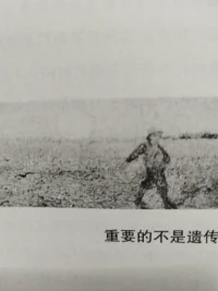 事物在不断变化，人人都会犯错，

在变化的过程中，最重要的是我们能够更正它

在虚原型形成期间较为容易纠正错误，

一旦错过时机以后再纠正时，就需要回忆当时的整个情境。配图