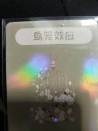 一个人因为好看，买了个鸟笼。

那空鸟笼放家里一段时间后，

通常会丢掉鸟笼

或者买只鸟回来，放在鸟笼里面养。配图