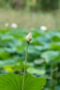 怎么样学习更有动力呢？

在接触新东西的时候，

如果他与我们自身有密切的关系的话，

学习的时候就有动力，而且会容易忘记呦。配图