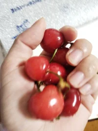 周末，吹台风下大雨，回家看砍树了，它刮的墙面花了，

就像负能量，每周容量有限，该砍就砍， 

当然了，有的人是需要每天睡觉之前砍树的

不会砍多余树枝的，不会设计树枝成长方向的，都可以晚上来找我