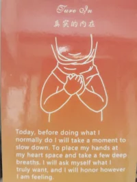 今天
在开始日常生活之前
你得花点时间放慢脚步，
将双手放在你的胸口，偏向心脏的位置。
深呼吸几次。
然后，你再问自己
你真正想要什么，
并且，尊重自己给到的感受，给到的答案。