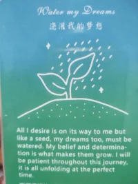 你所渴望的一切都向你靠近，

就像種子一樣，你的夢想還是需要被灌溉的

用你的信仰和決心去灌溉，你的夢想才能長大。

在這個過程中，你需要保持耐心。

并且相信一切都是最好的安排。配圖
