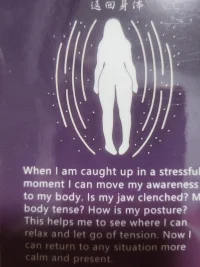 当你陷入压力的时候，你可以先将注意力转移到身体上。

你的下巴是不是很绷紧，身体是不是很紧张，姿势是怎么样的，

这样可以帮助你，看到你可以在哪里放松，并且缓解紧张，

现在你就可以更平静更专注的回到任何情境中。配图