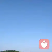 年前大总结，年后大目标