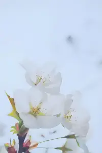 不要太在意
別人的看法，
走自己的路，
做自己就好。配圖