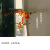 任何关系里，都是一场双向选择。允许别人来，也允许别人离开。去留随意，随缘就好。配图