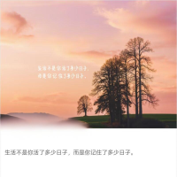 眼睛会遗忘的东西就让时间记录，那些真正重要的，终究会在心底长成年轮。配图