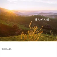 凡是你想控制的，其實都控制了你。配圖