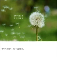 最狂妄的骄傲，最深切的自卑，都代表心灵的软弱无力。配图