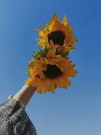 改變永遠(yuǎn)有可能，即使最后一刻。你永遠(yuǎn)有選擇重啟人生的權(quán)利。