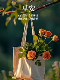 傷口是光進入你內心的地方。脆弱之處，往往藏著覺醒的種子。配圖