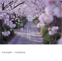 情感上的獨立意味著，你能夠為自己的情緒負責，而不是成為他人情緒的奴隸。