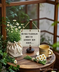 太用力的关系都在透支你！学会发光，对的一切会自动向你靠近，先解决心情再解决事情。
