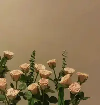 凡是抗拒，都会持续。凡是接纳，都会消散。真正的强大不是对抗，而是允许发生。