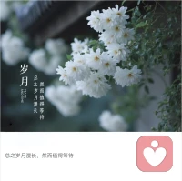 與其追求幸福，不如幸福地追求！當你投入地學習生活工作，并在其中找到樂趣和價值的時候，幸福就會自然而然地降臨。所以，幸福其實就是投入和堅持的副產品。配圖