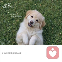 只要利益不產(chǎn)生沖突，別人說的話一般不需要反駁。配圖