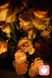 人生的高度，不是看清多少事，而是看輕多少事。心靈的寬度，不是你認識了多少人，而是你包容了多少人。配圖