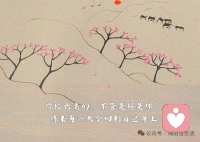 生活没有输赢，如果一旦有了胜负心，那你一定是输家。