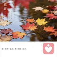 日子是过以后，不是过从前。背着过去的包袱，过不好现在的人生。