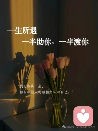 生命中所有的相遇，一半是來(lái)助你的，另一半是來(lái)渡你的。配圖
