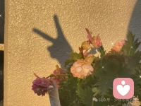 刪繁就簡，何嘗不是一種行走世間的孤勇。配圖