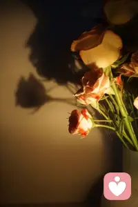 人品是最好的風(fēng)水，善良一定藏著福氣。配圖