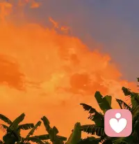 山再高，往上攀，總能登頂；路再長，走下去，定能到達。行動是破解焦慮的答案。配圖