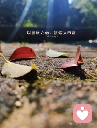 日子重復著相似的模樣，但認真過好今天，就是給明天最好的禮物。