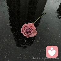 有些事，不用試探，感覺不對勁，就是不對勁，直覺是前兆，細節是答案。配圖