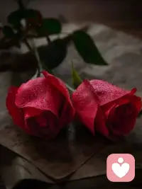 人生真正的困难，是延迟满足和承担责任。成长不舒服，所以大多数人选择重复。配图