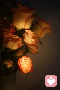 所有焦虑，最终都绕不开四件事：死亡、孤独、自由、无意义。只是我们常常用工作、关系、忙碌、焦虑来回避直面它们。配图