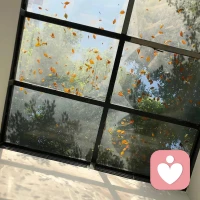 当一个人开始聚焦自己，奇迹就会发生；当一个人开始强大自己，好运已经来临。配图